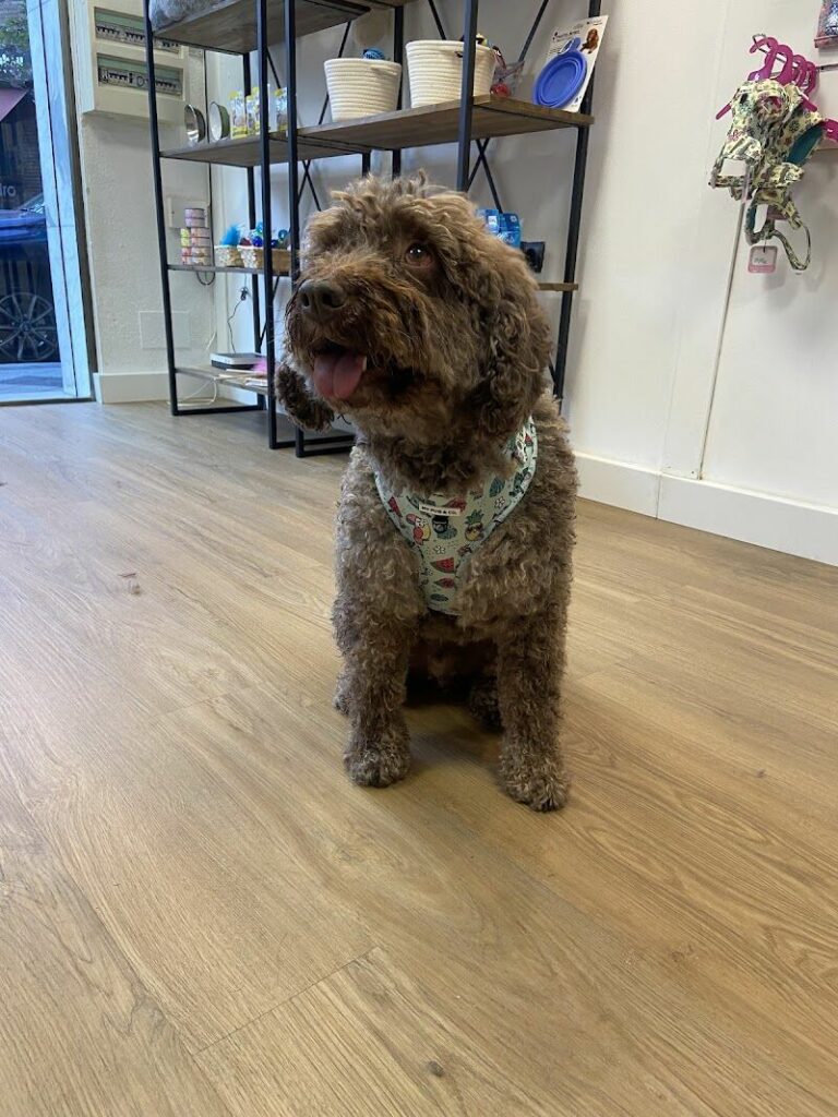 Imagen de Con Pelos y a Lo Loco