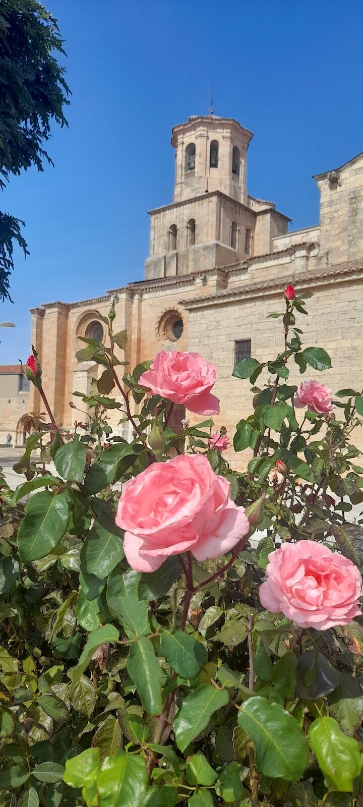 Imagen representativa de la localización