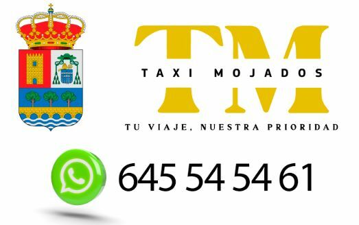 Imagen de Taxi Mojados