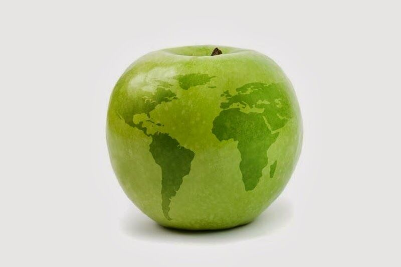 Imagen de Traductor Jurado de Francés Mª Aránzazu Gómez Martínez