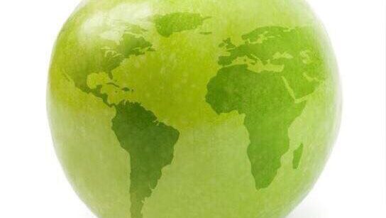 Imagen de Traductor Jurado de Francés Mª Aránzazu Gómez Martínez