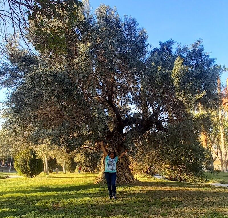 Imagen representativa de la localización