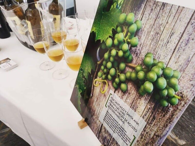 Imagen de Bodega Viña la Cerca