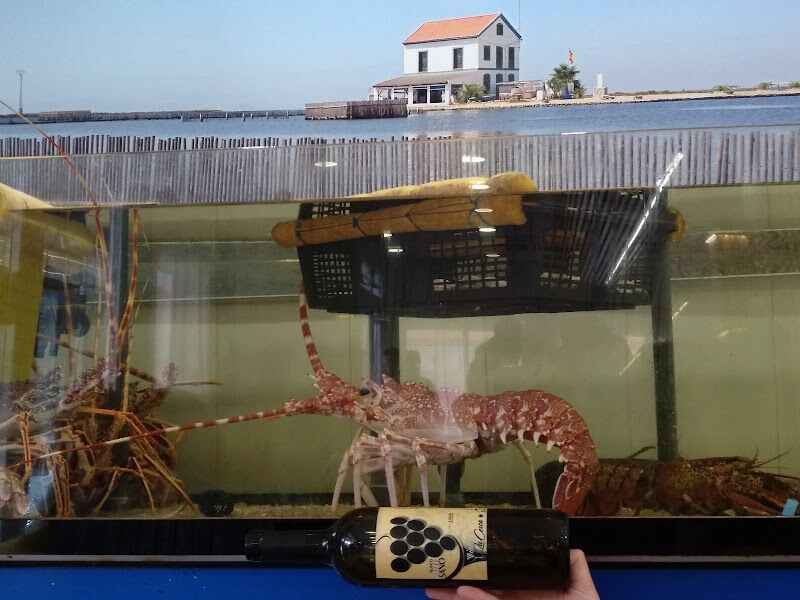 Imagen de Bodega Viña la Cerca