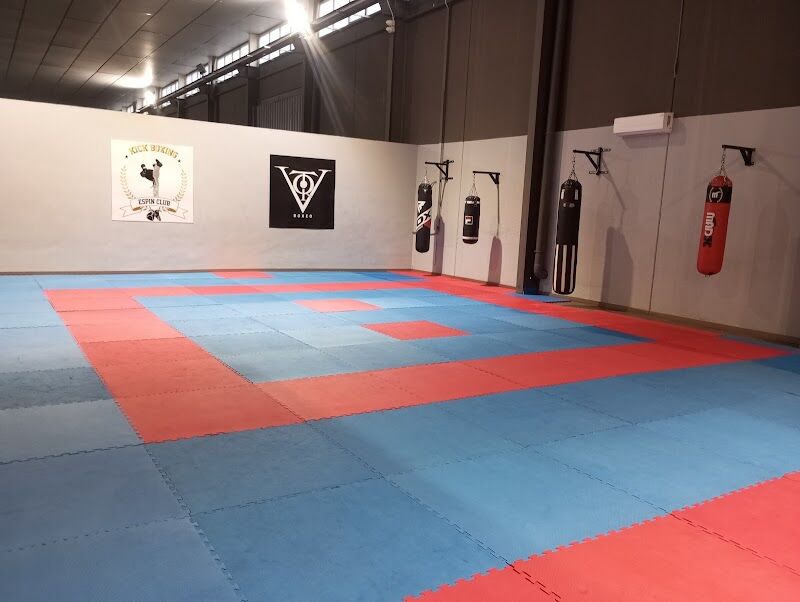 Imagen de Kickboxing Espin