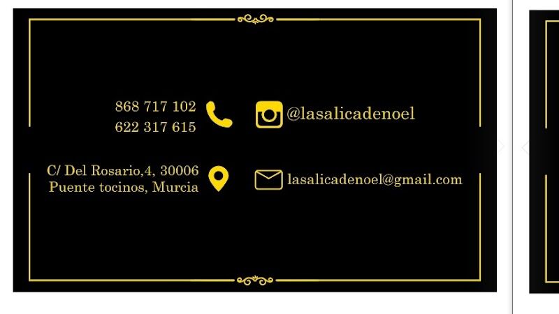 Imagen de La Salica de Noel