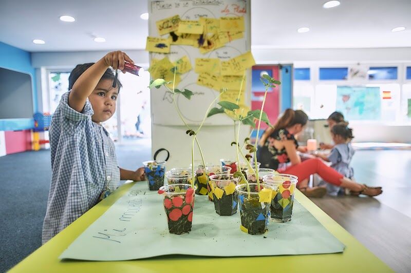 Imagen de Colegio Salzillo Bilingual School