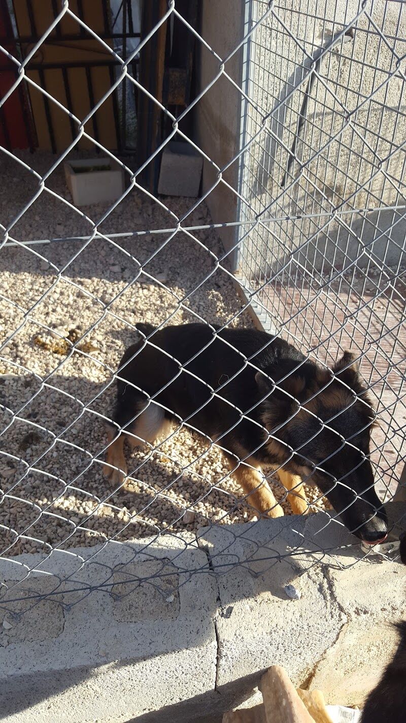 Imagen de negocio en Servicio de desatasco en Región de Murcia