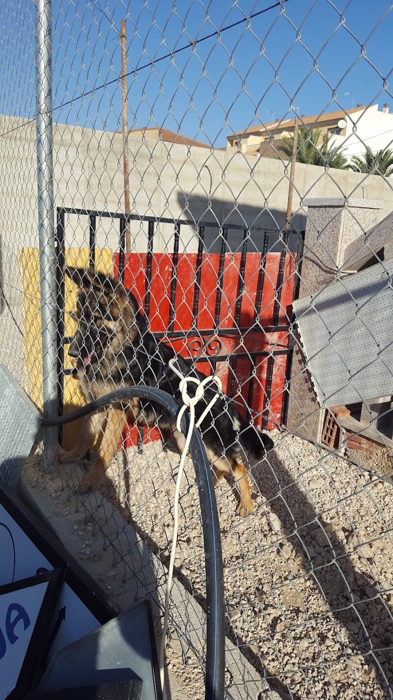 Imagen de negocio en Servicio de desatasco en Región de Murcia