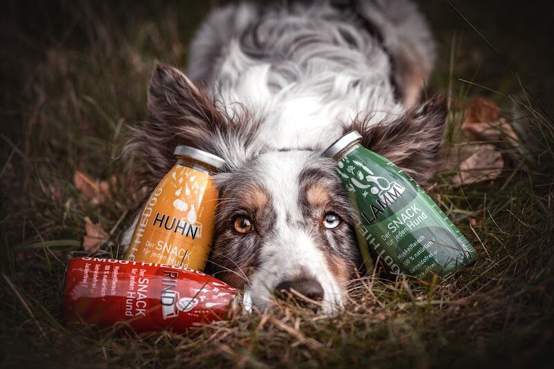 Imagen de Huella Viva Mascotas / Dieta Barf – Cocinada y Suplementos Naturales