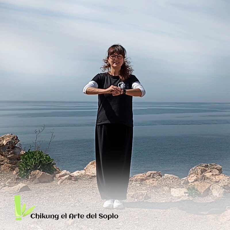 Imagen de Chikung el Arte del Soplo