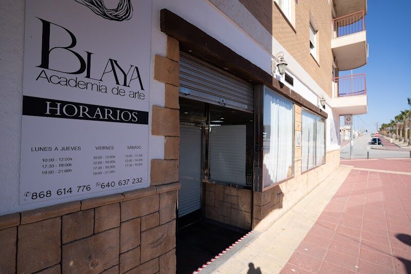 Imagen de Academia de Arte Blaya