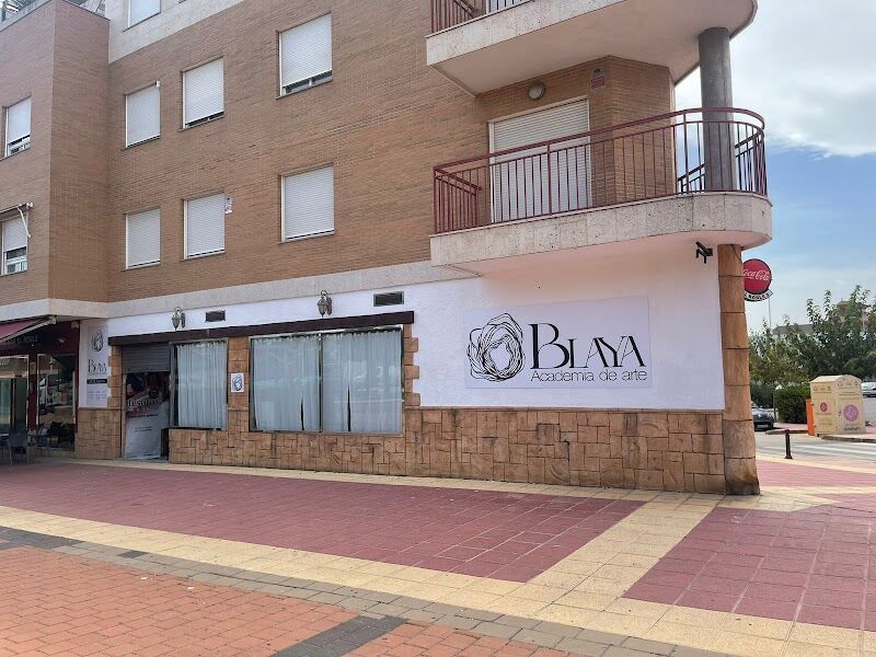 Imagen de Academia de Arte Blaya