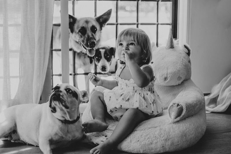 Imagen de Papelicos Kids