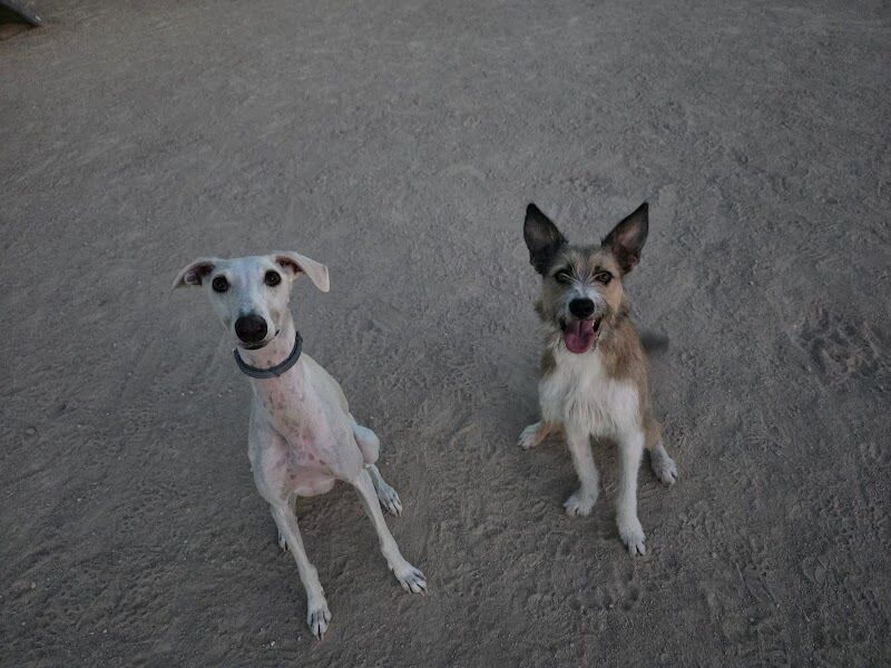 Imagen de Centro Canino los Árboles