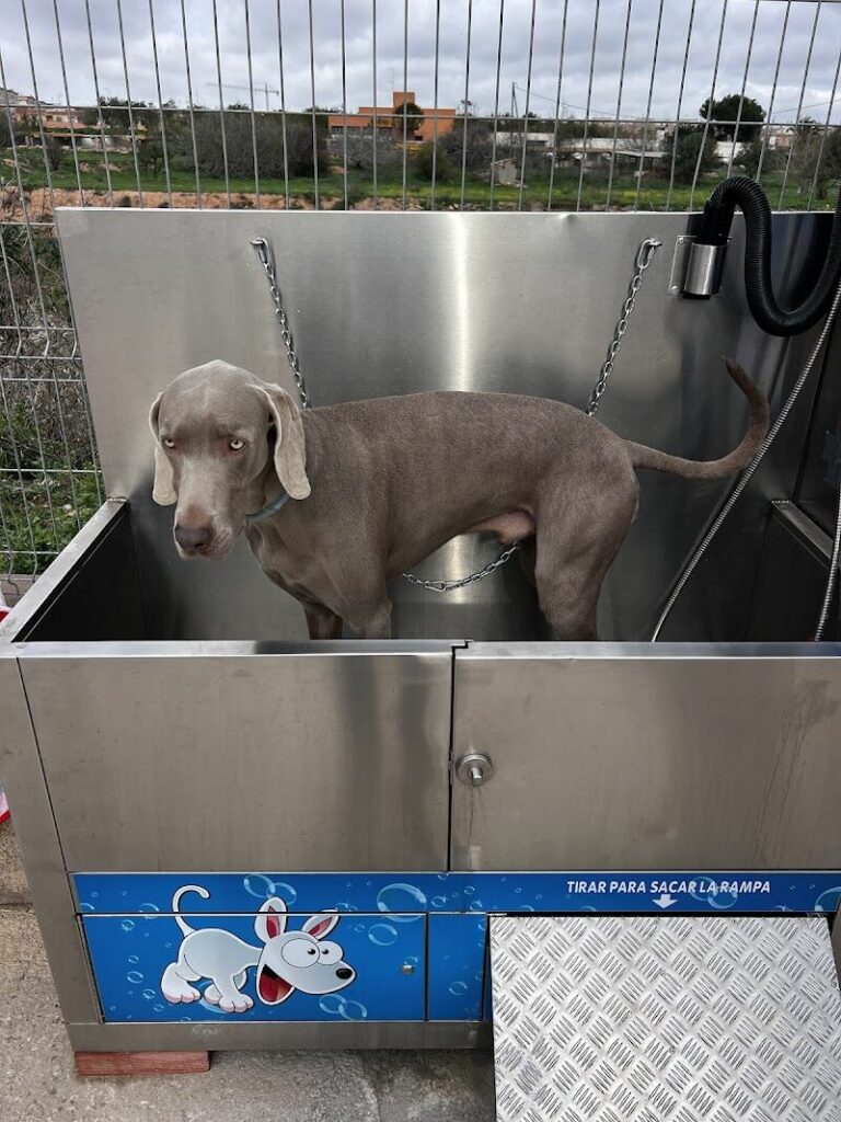 Imagen de Lavadero de Mascotas