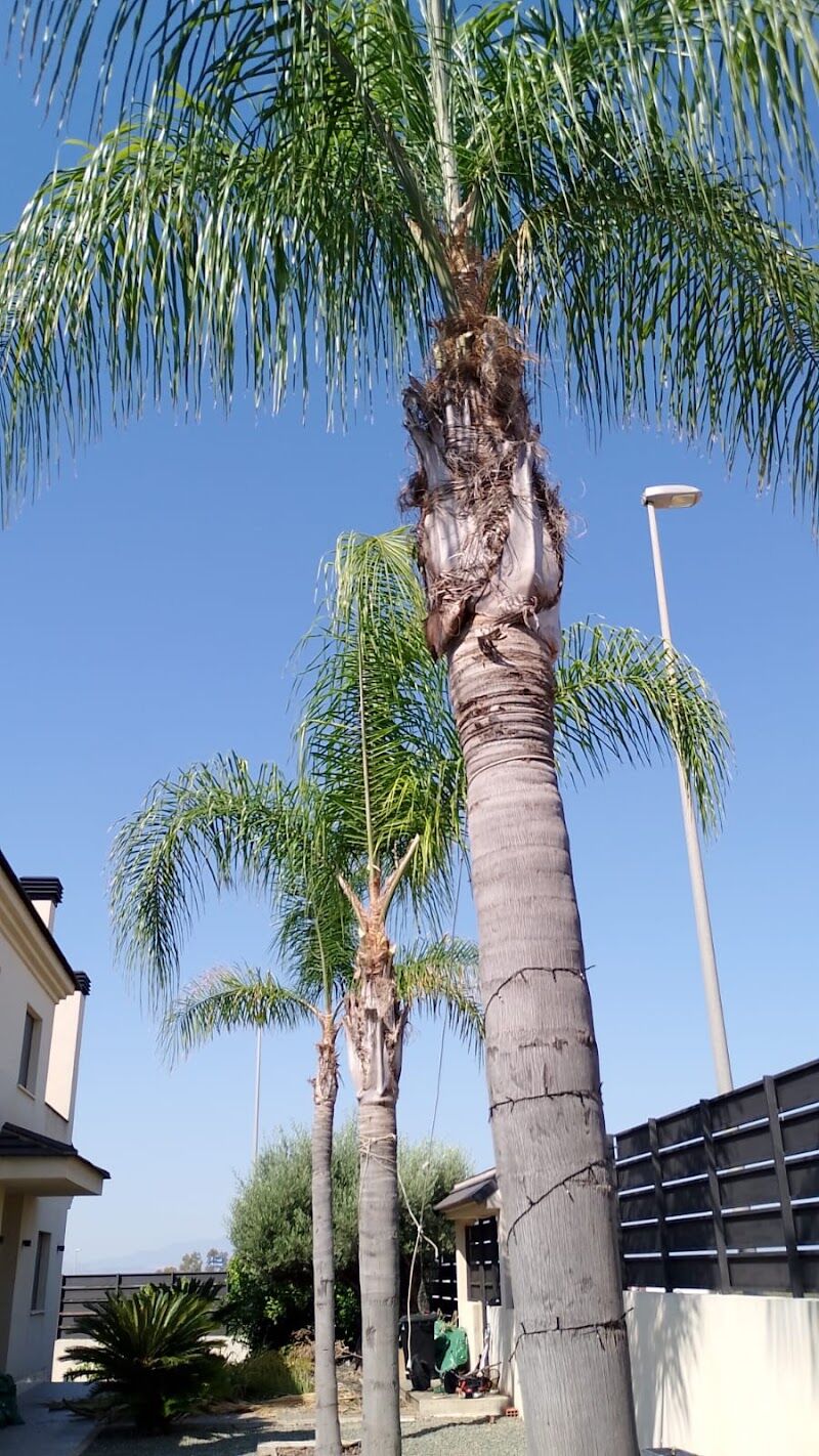Imagen de negocio en Paisajismo en Provincia de Murcia