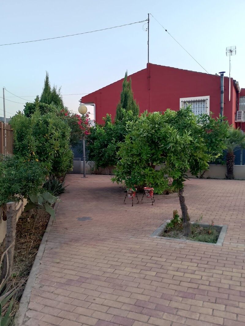 Imagen de negocio en Paisajismo en Provincia de Murcia