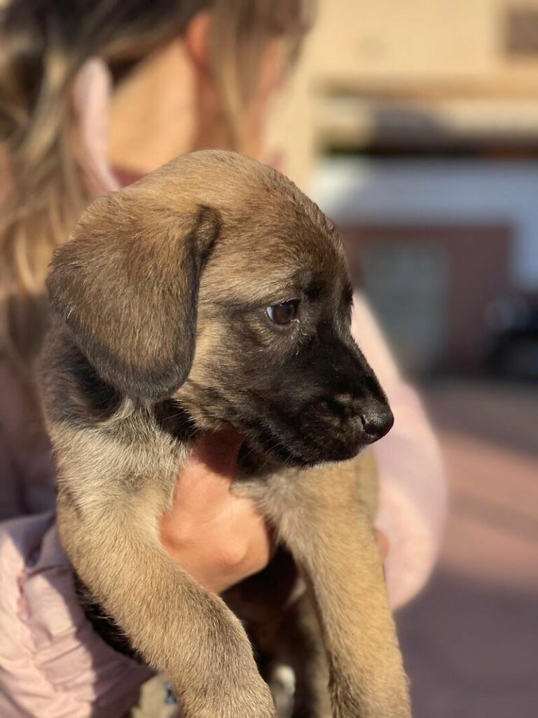 Imagen de Adopta Vida Cartagena