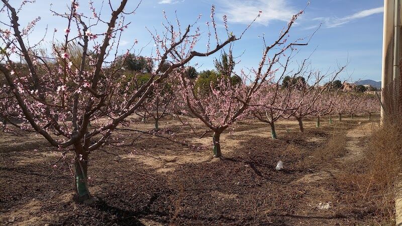 Imagen representativa de la localización