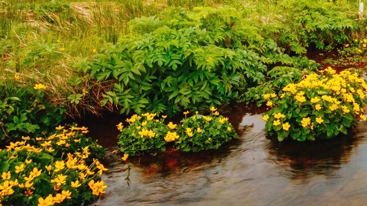 Imagen de Alm Psicologia Integral.ana Landete