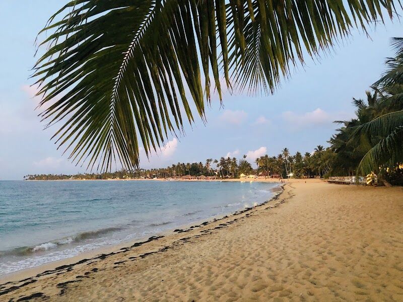 Imagen de Viajes Pinatar Tour