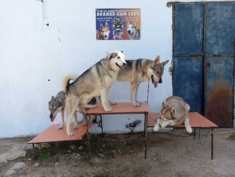 Imagen de negocio en Educación y Comportamiento en Provincia de Huelva