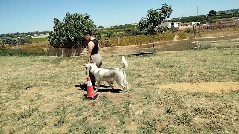 Imagen de negocio en Adiestramiento de mascotas en Provincia de Huelva