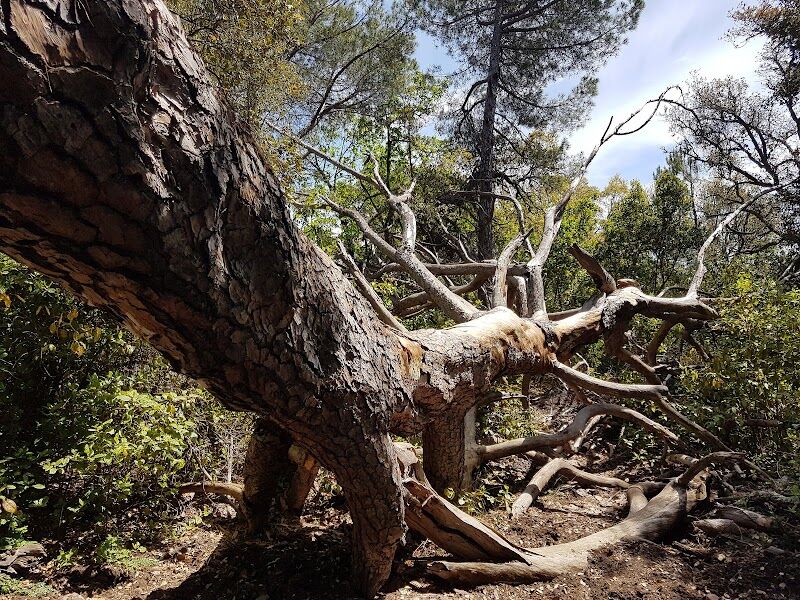 Imagen representativa de la localización