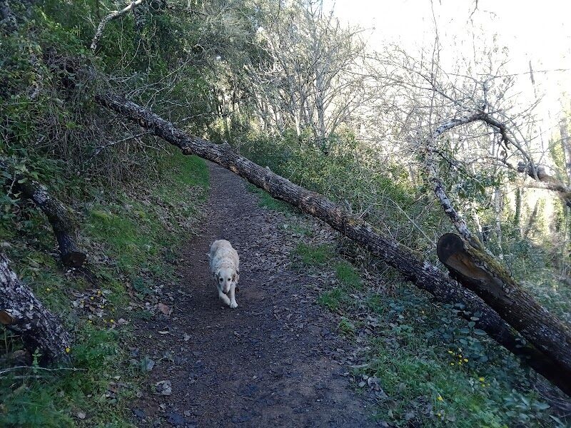 Imagen representativa de la localización
