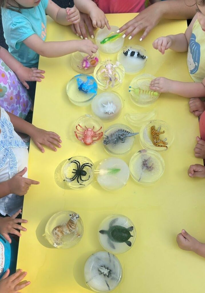 Imagen de Centro de Educación Infantil el Jardín