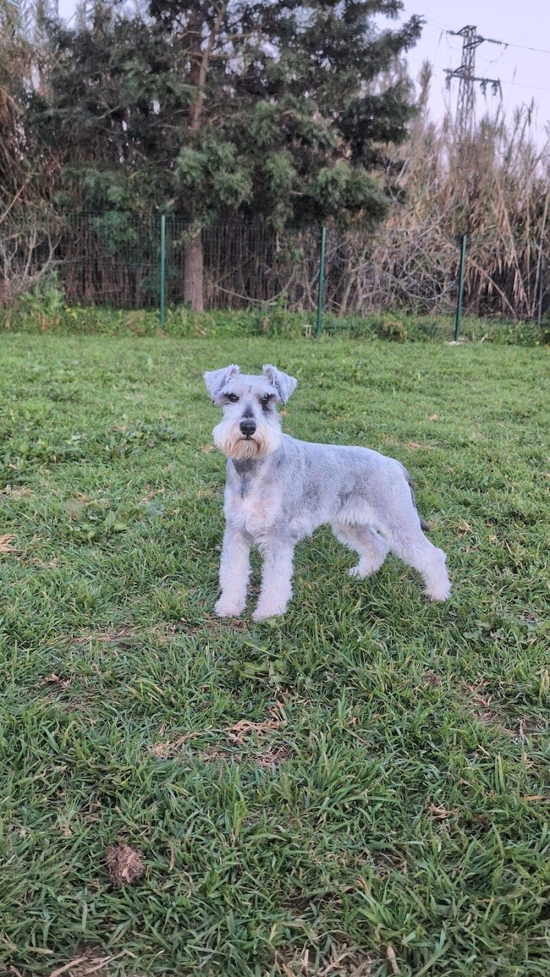 Imagen de negocio en Guardería para mascotas en Provincia de Huelva