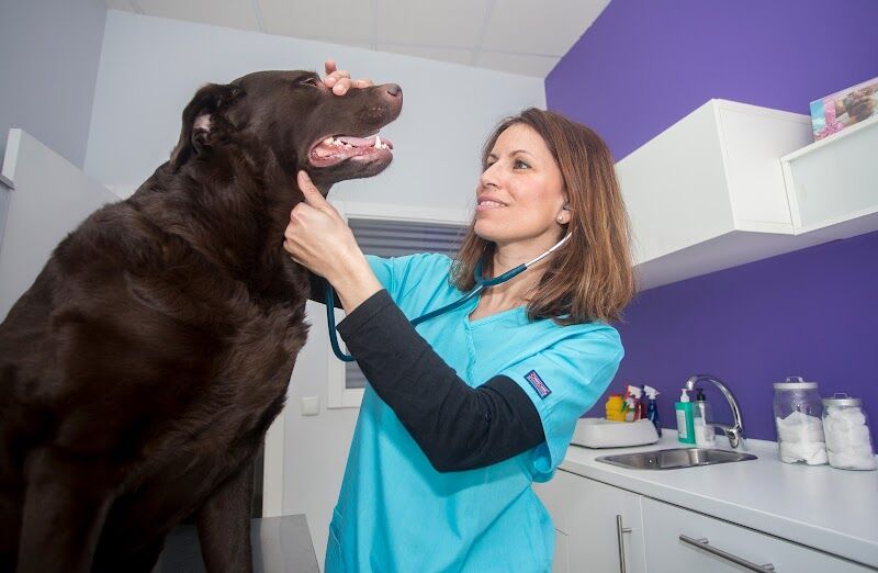 Imagen de Centro Veterinario Bichos, Animales Exóticos