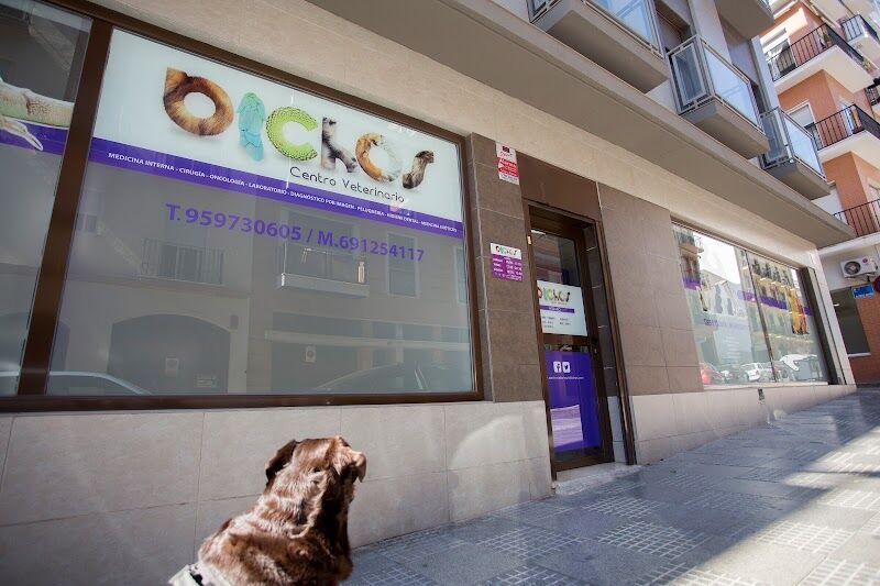 Imagen de Centro Veterinario Bichos, Animales Exóticos