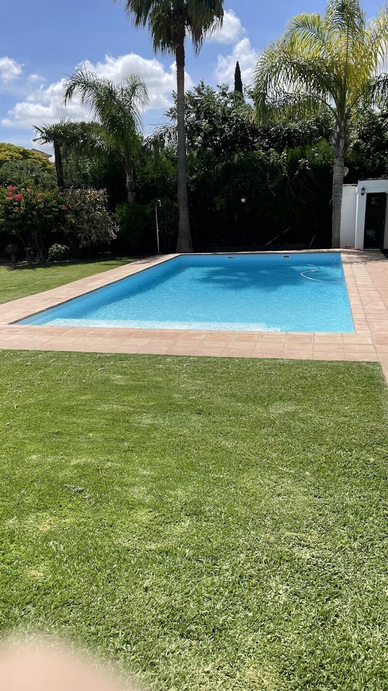 Imagen de negocio en Almensilla (Sevilla)