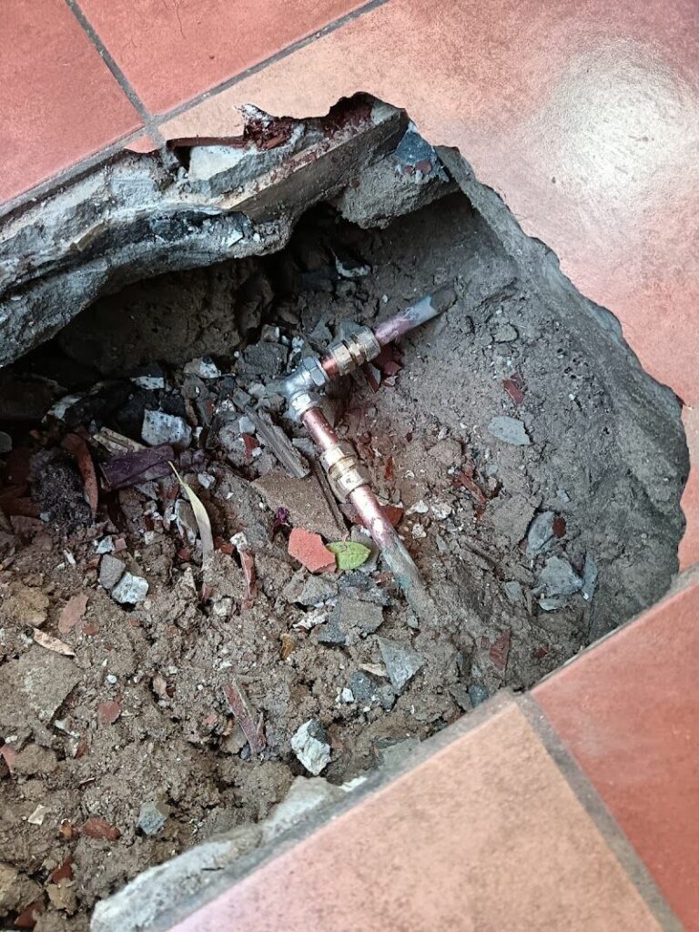 Imagen de Fugas de Agua Quini