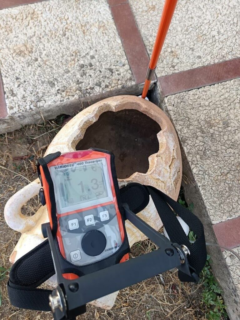 Imagen de Fugas de Agua Quini