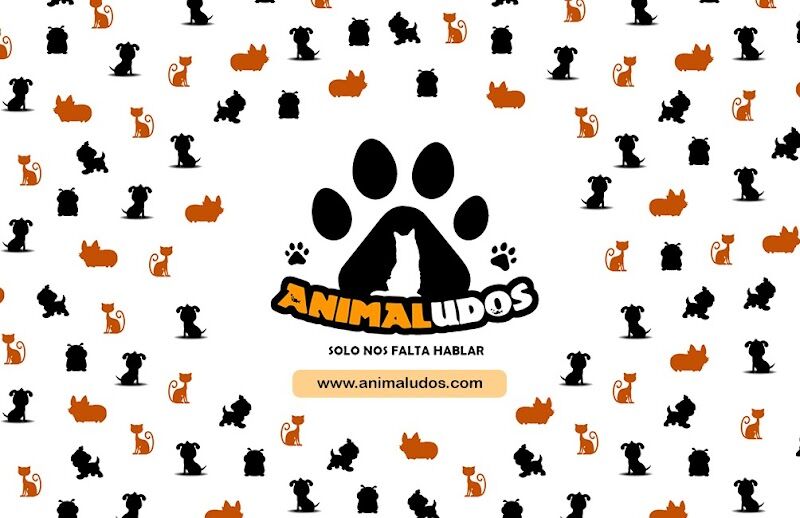 Imagen de Animaludos