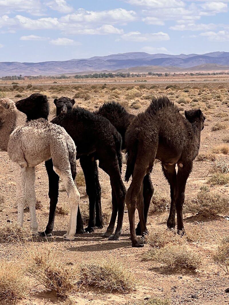 Imagen de negocio en Agencia de viajes en Caspe