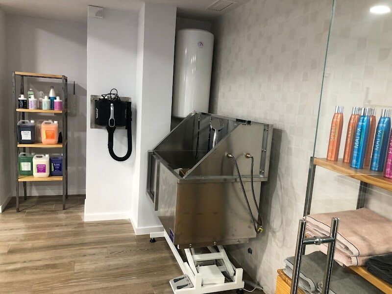 Imagen de Pel Gos Pel Gat