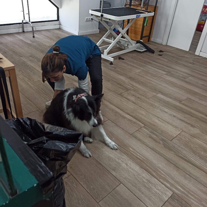 Imagen de Pel Gos Pel Gat