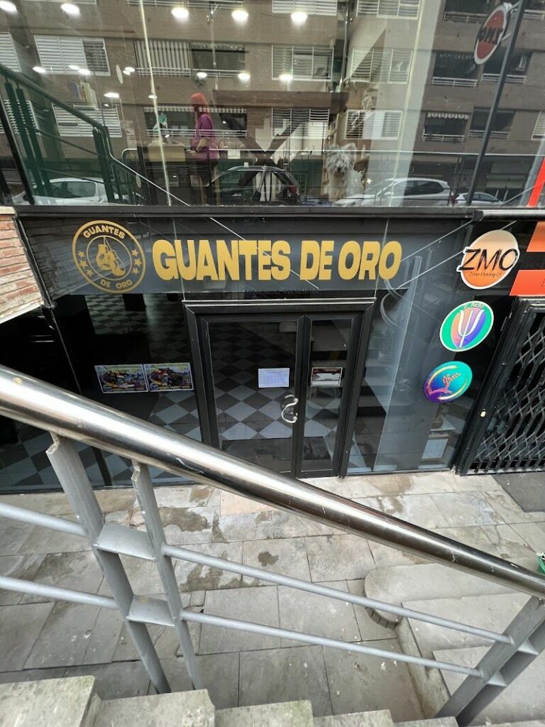 Imagen de Guantes de Oro