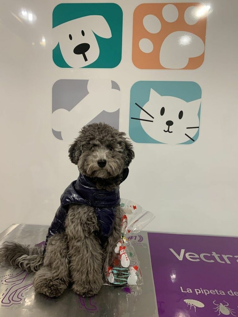 Imagen de Veterinaria Pardina