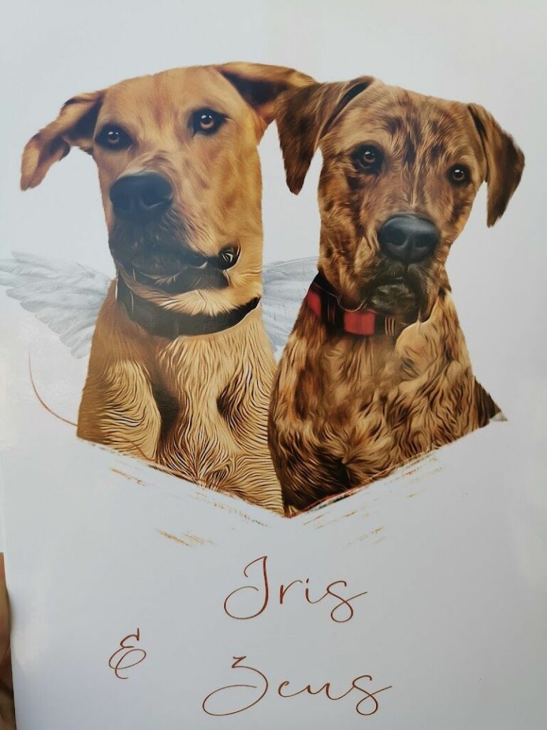 Imagen de Veterinaria Pardina