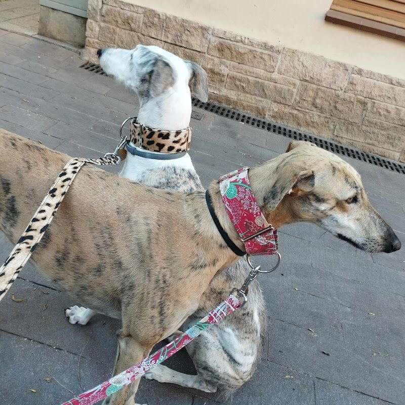Imagen de Veterinaria Pardina