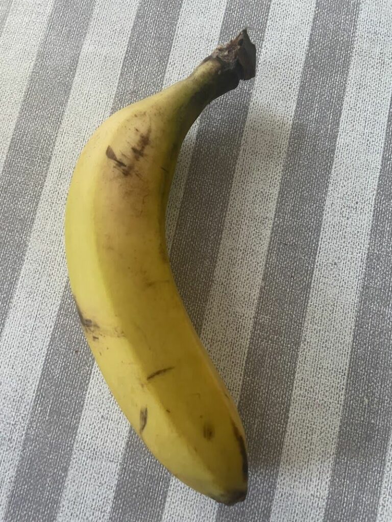 Imagen de Marina Gargallo Ulldemolins – Nutricionista Holística