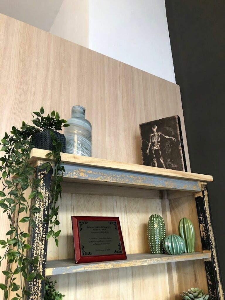 Imagen de Món Quiropràctic