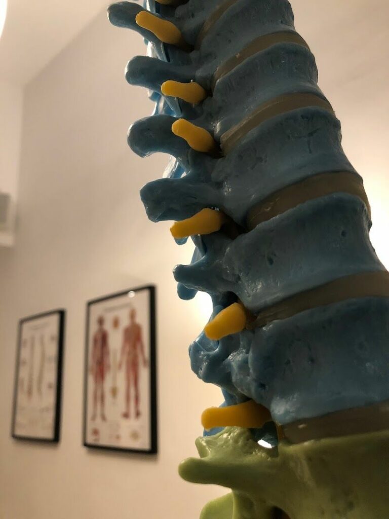 Imagen de Món Quiropràctic