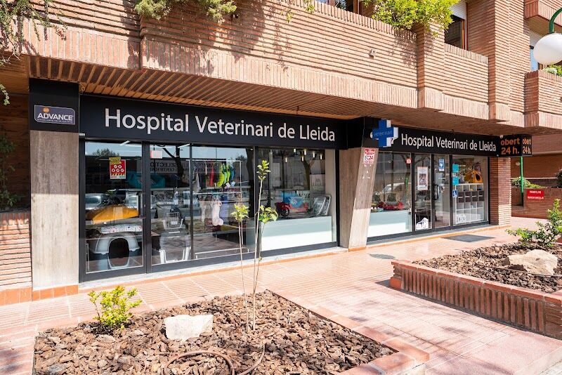 Imagen de Hospital Veterinari de Lleida