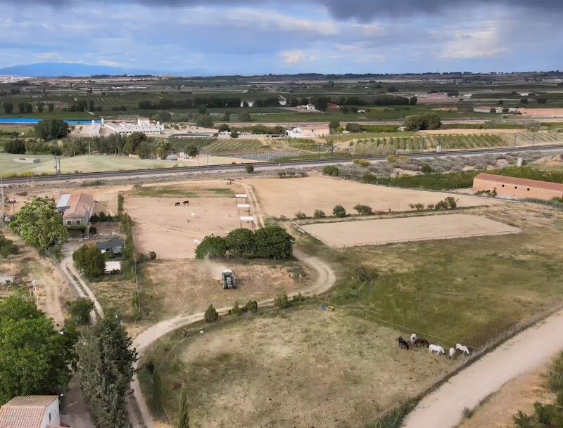 Imagen de Vinatesa Centre-ada Torra, Veterinària Equina-hípica